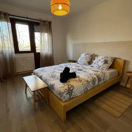 Soh Rent Wifi Terrasse * Strasbourg
