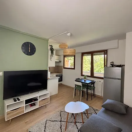 Soh Rent 2 Pieces Wifi Terrasse Lejlighed Strasbourg