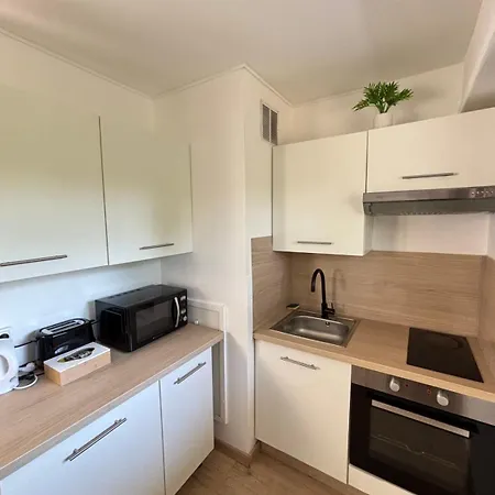 Soh Rent 2 Pieces Wifi Terrasse Lejlighed Strasbourg