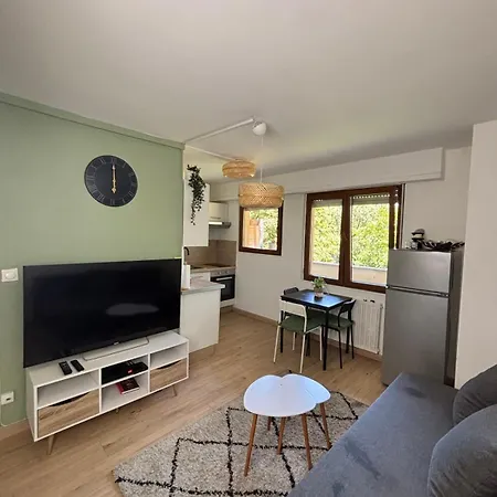 Daire Soh Rent Wifi Terrasse Strazburg